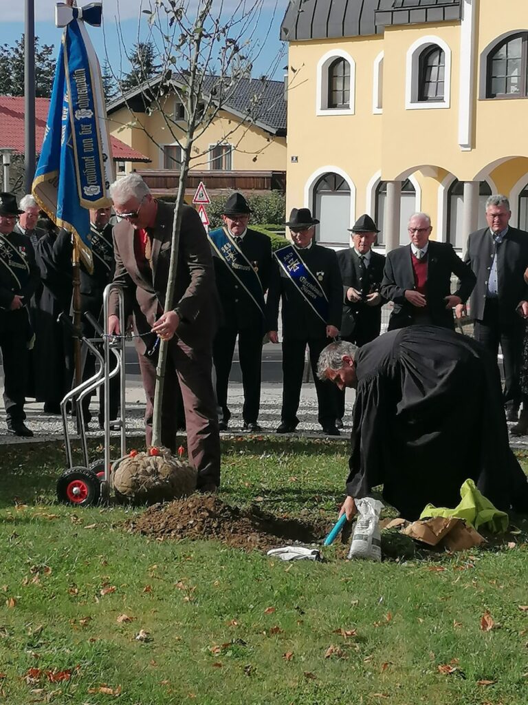 Pflanzloch graben für den Baum